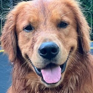 Meet your Posher, Jim